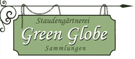 Greenglobe Würselen Staudengärtnerei